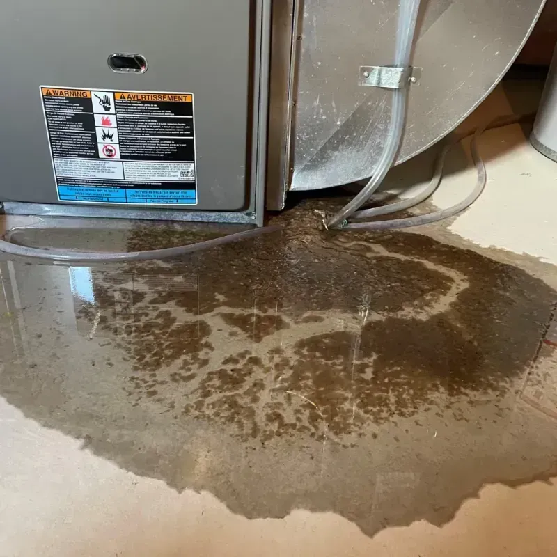 Appliance Leak Cleanup in Putnam, CT